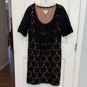 LOFT Black Lace Overlay with Blush Pink Lining Midi Dress